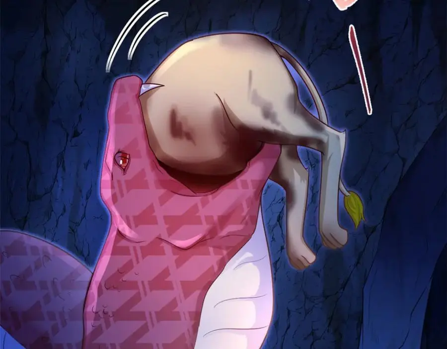 521 第43页