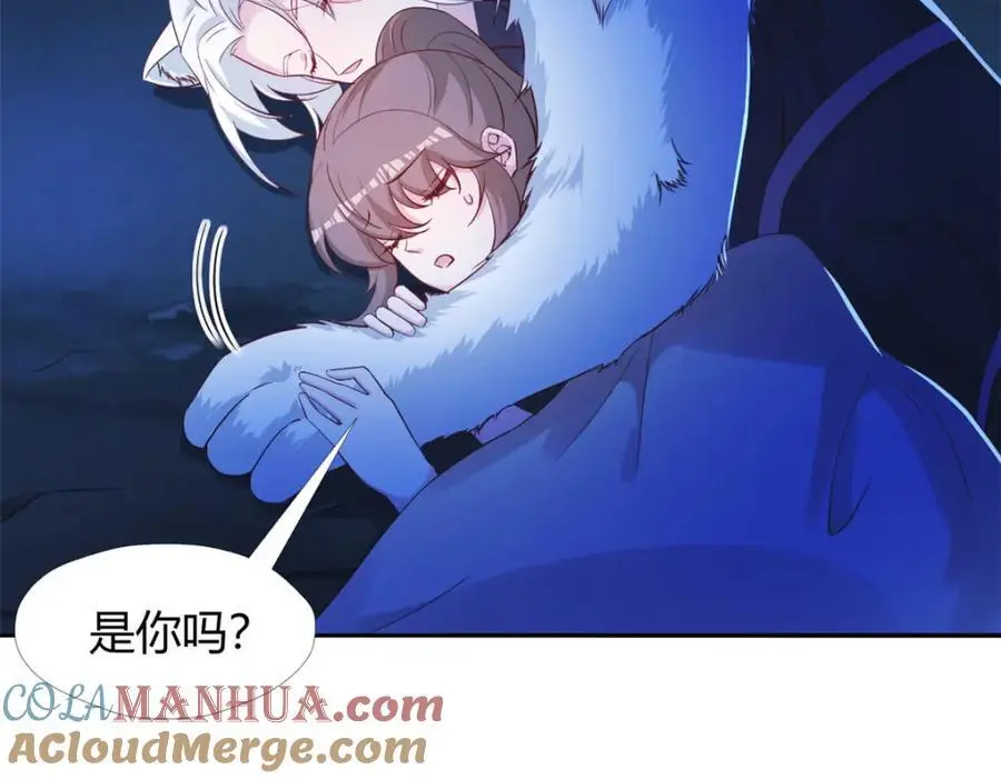 521 第117页