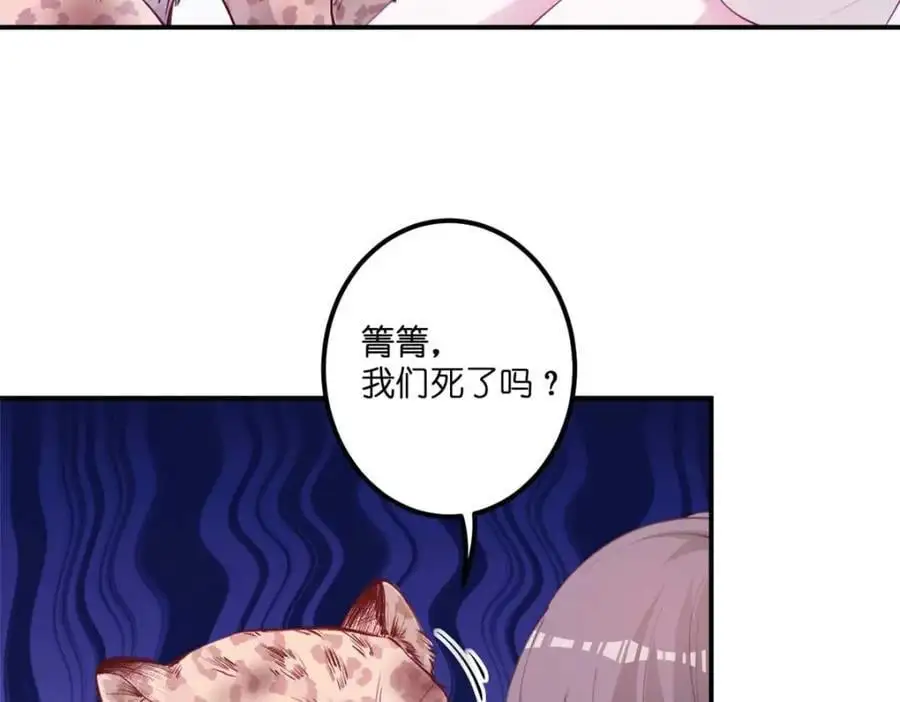 522 第114页
