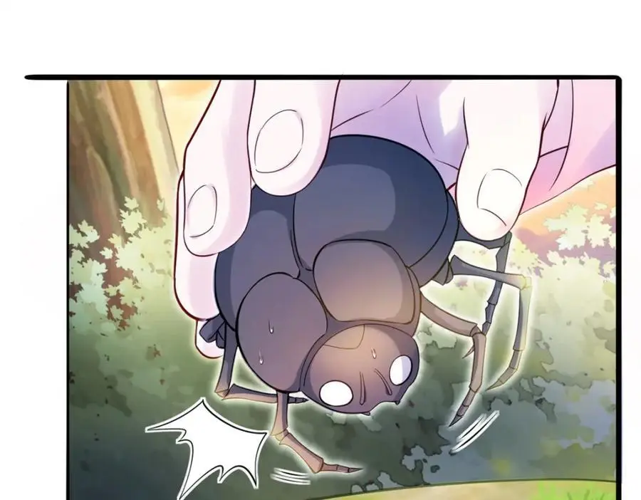 524 第62页