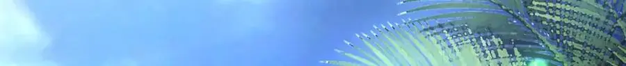 525 第57页