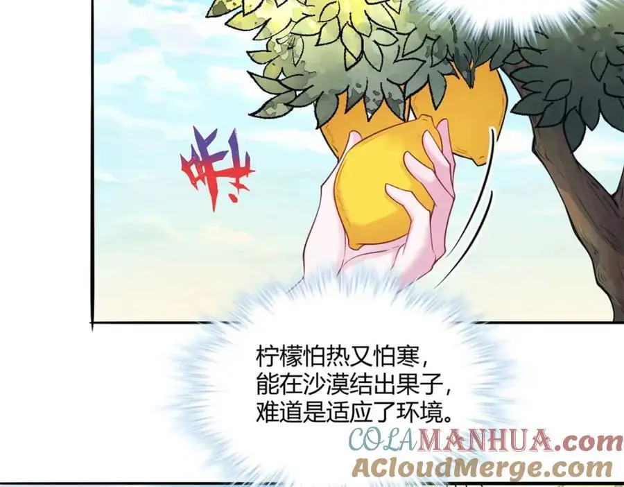 526 第5页