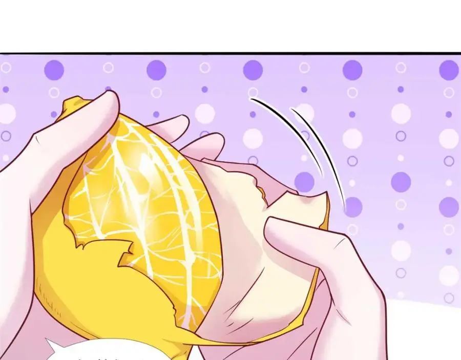 526 第10页