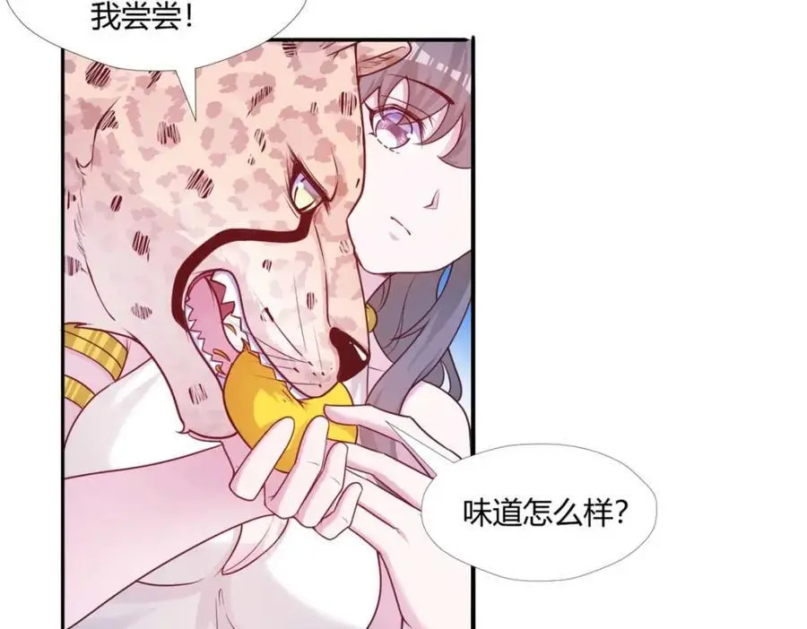 526 第23页