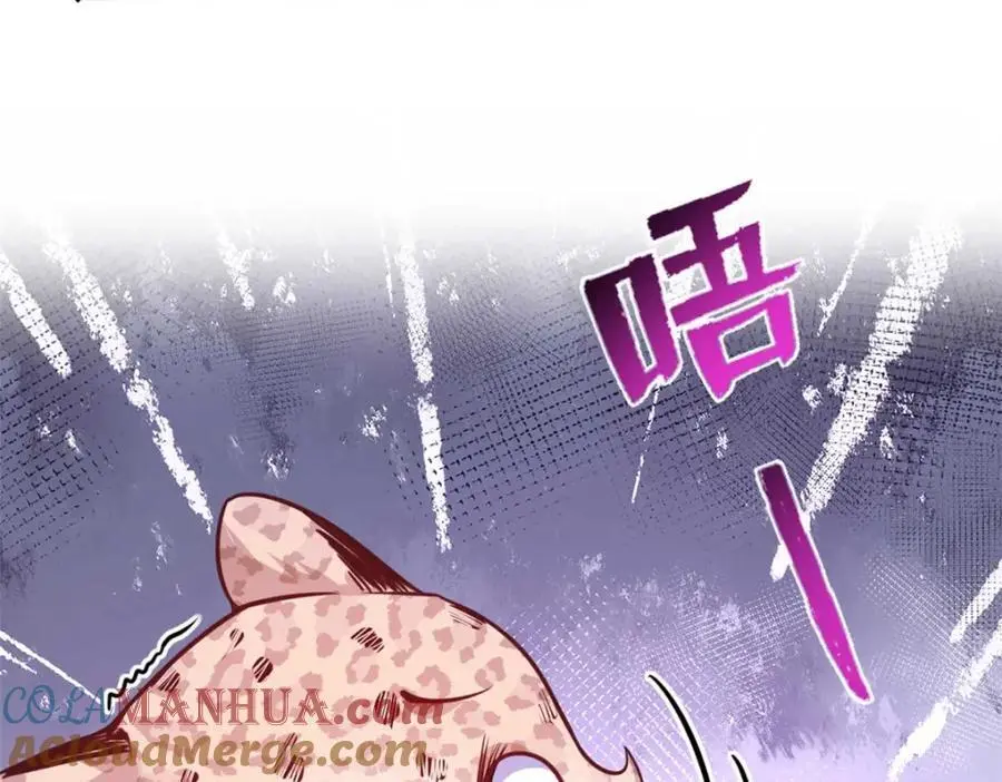 526 第25页