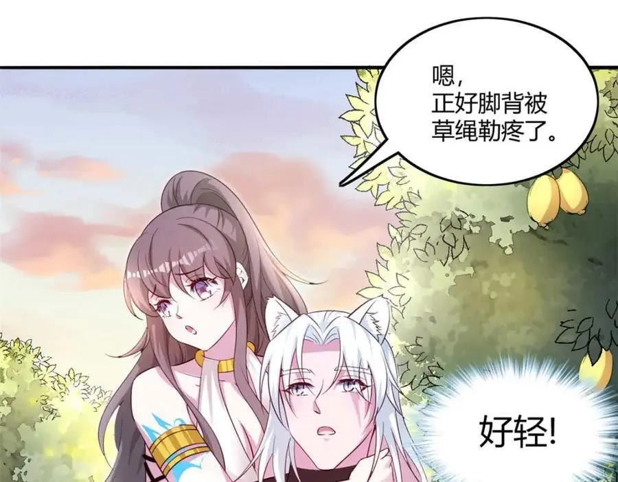 526 第67页
