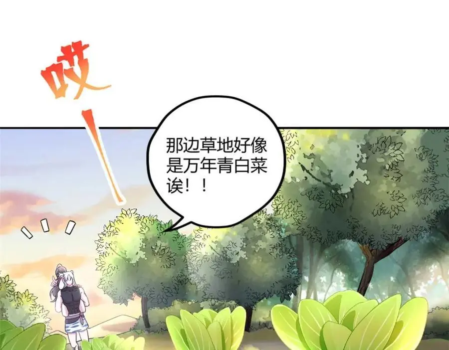 526 第75页