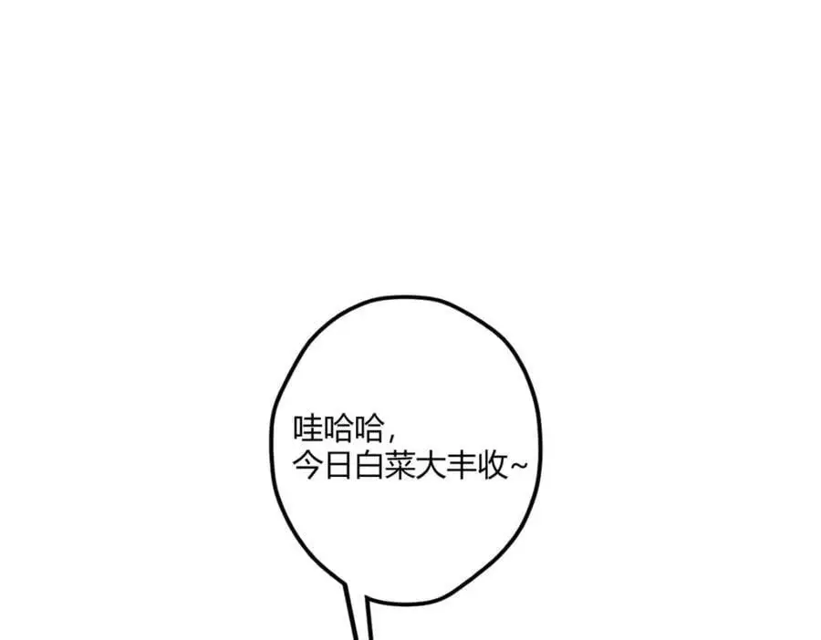 526 第84页