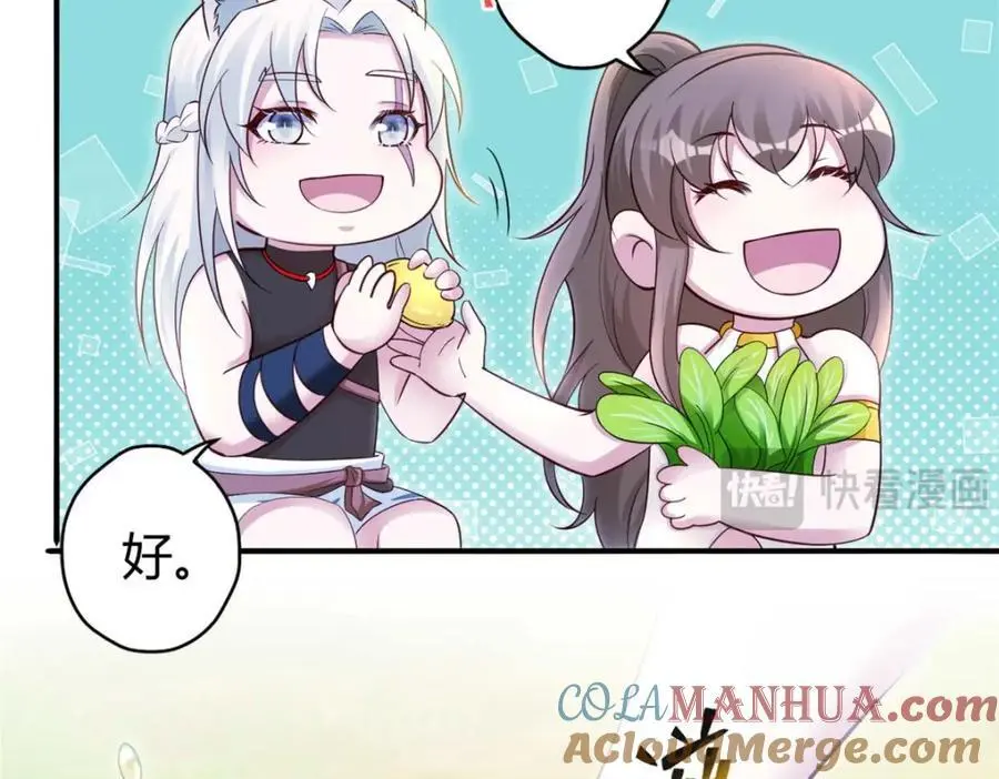 526 第97页