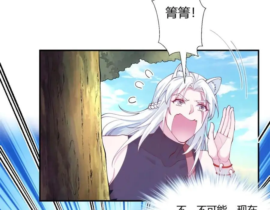 527 第38页