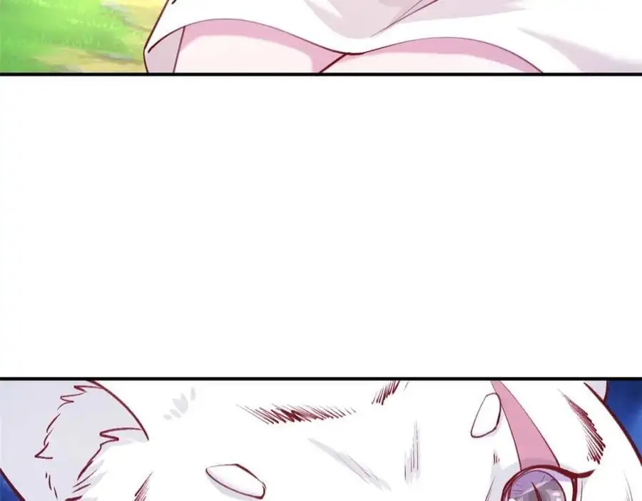 527 第52页