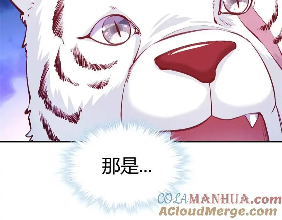 527 第53页