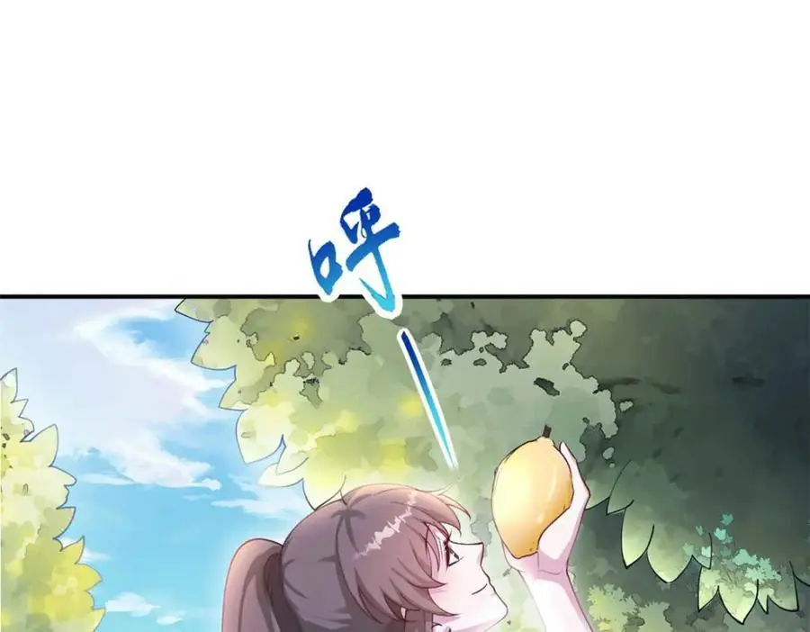 527 第55页