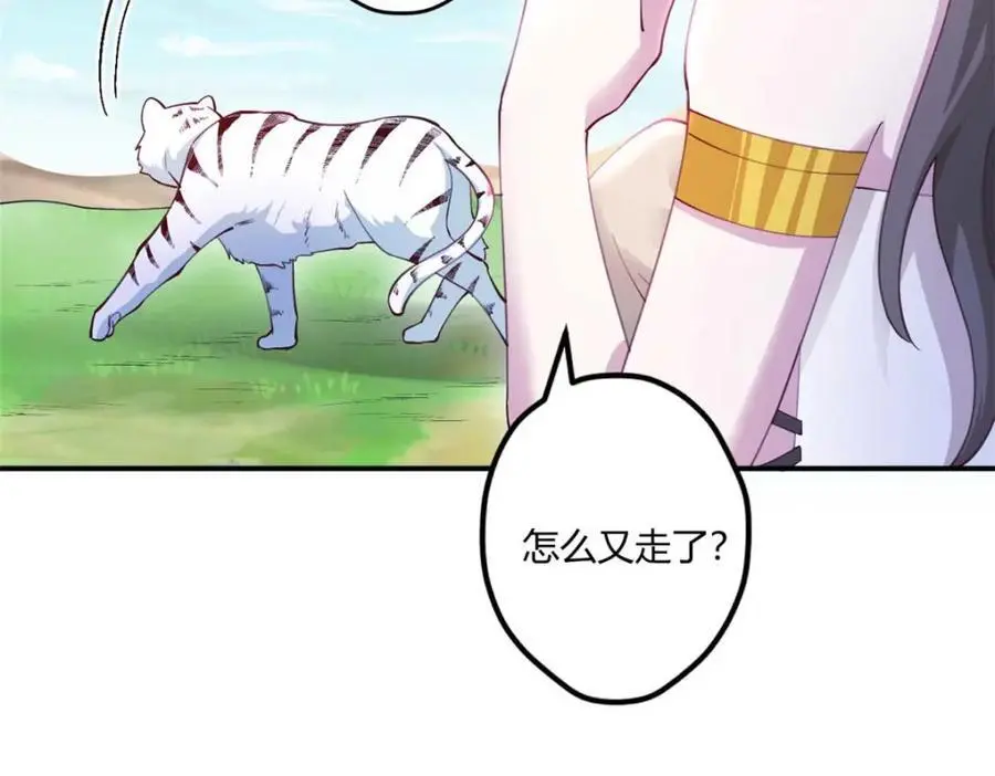 527 第68页