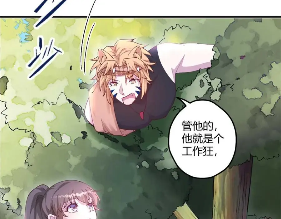 527 第70页