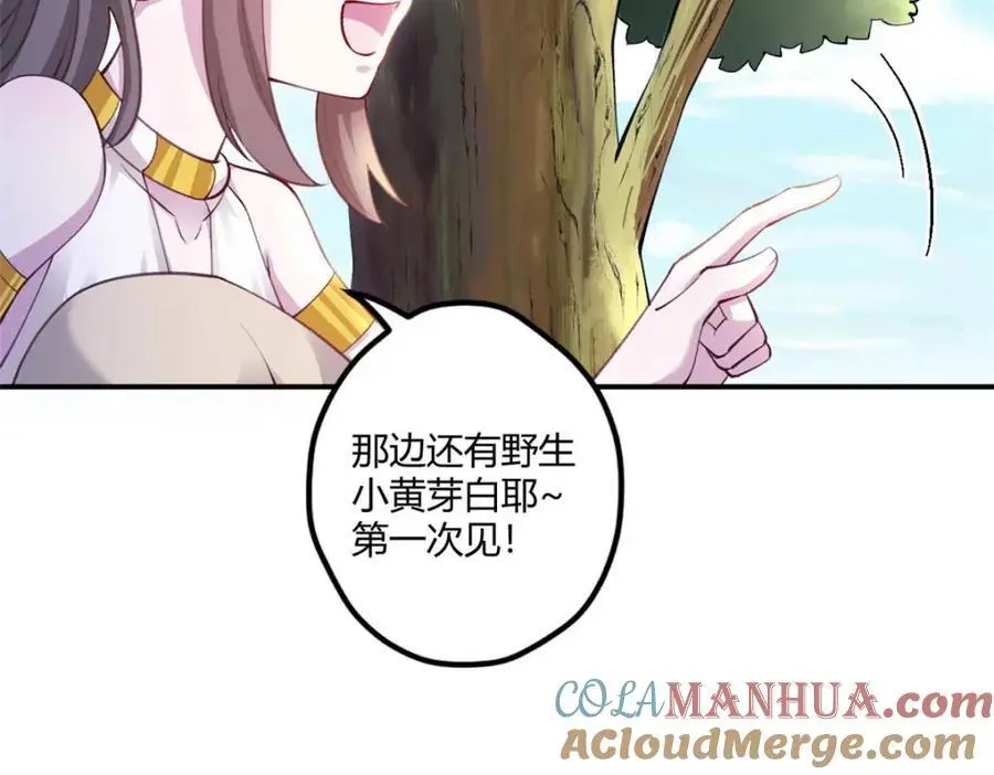 527 第77页