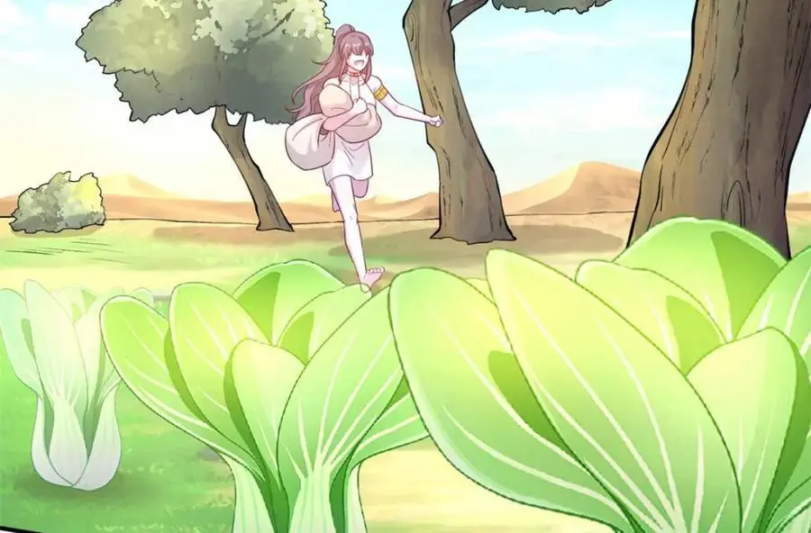 527 第80页