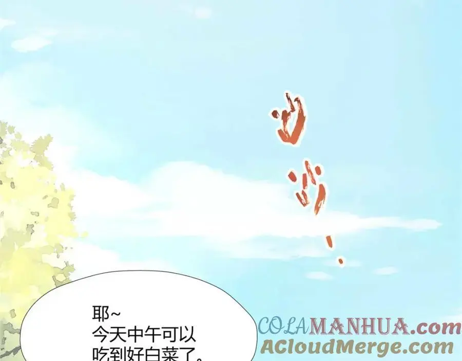 527 第85页