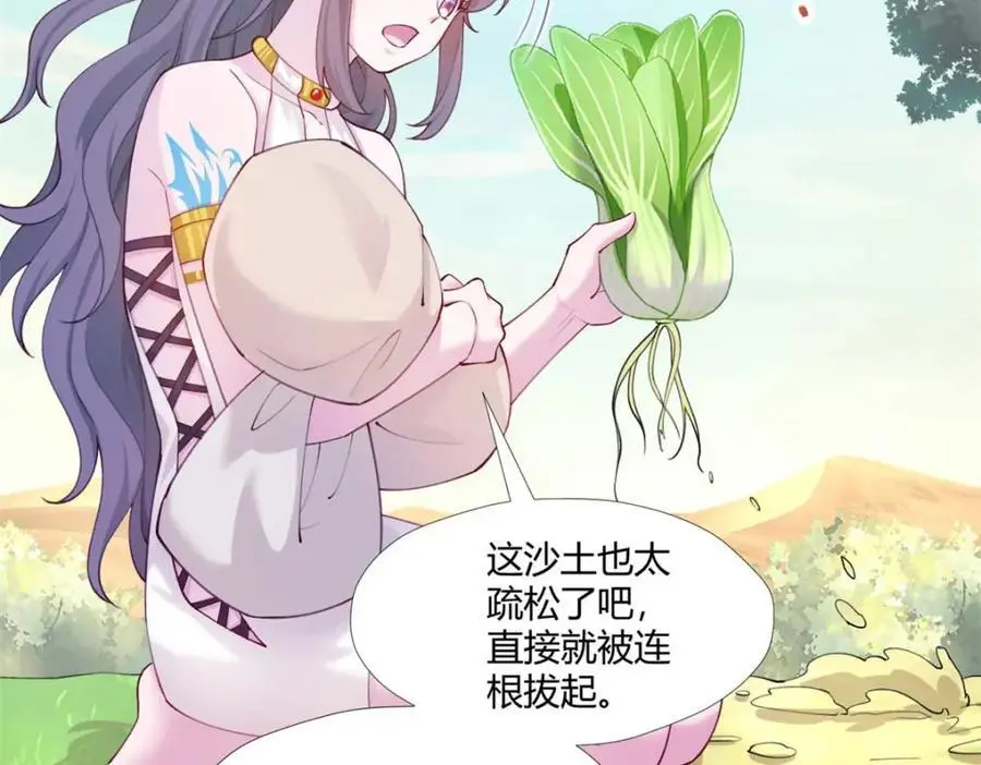 527 第87页