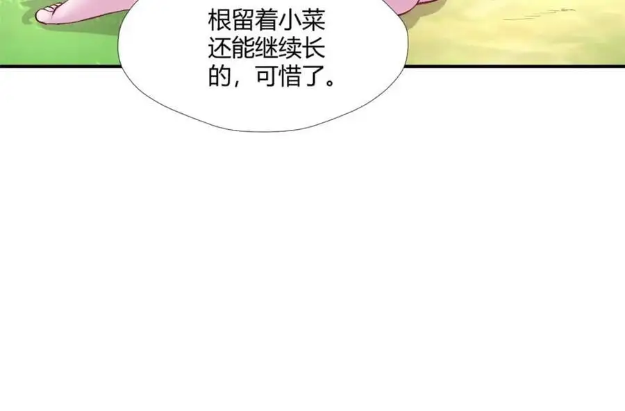 527 第88页