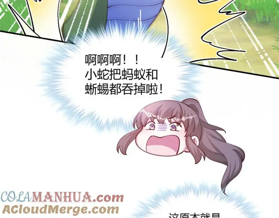 527 第105页