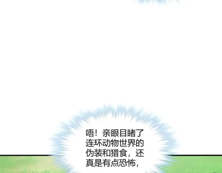 527 第107页
