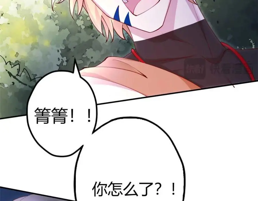 527 第119页