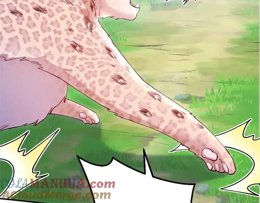 527 第125页