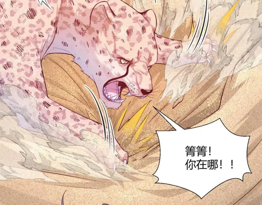 528 第11页