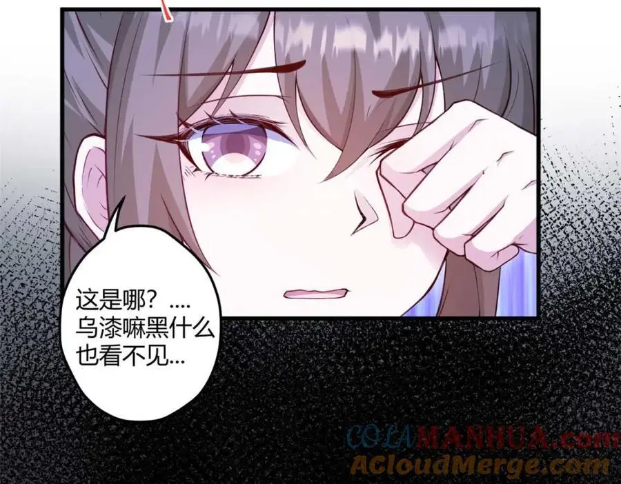 528 第65页