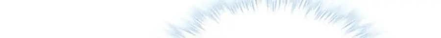 529 第72页