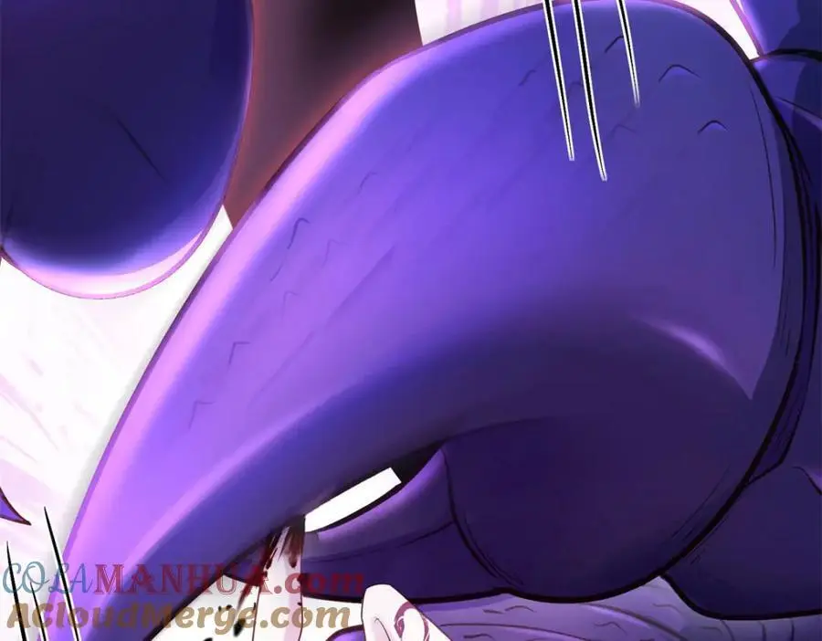 532 第113页