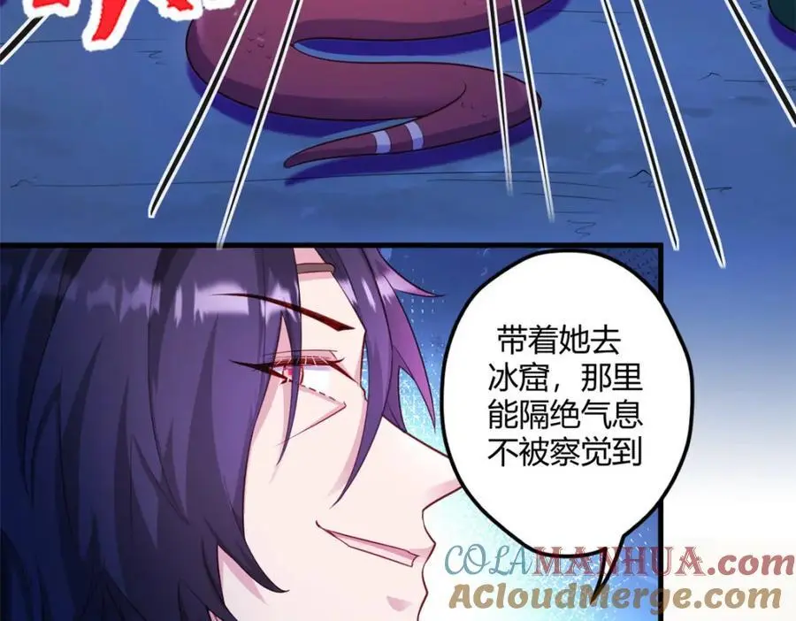 533 第43页