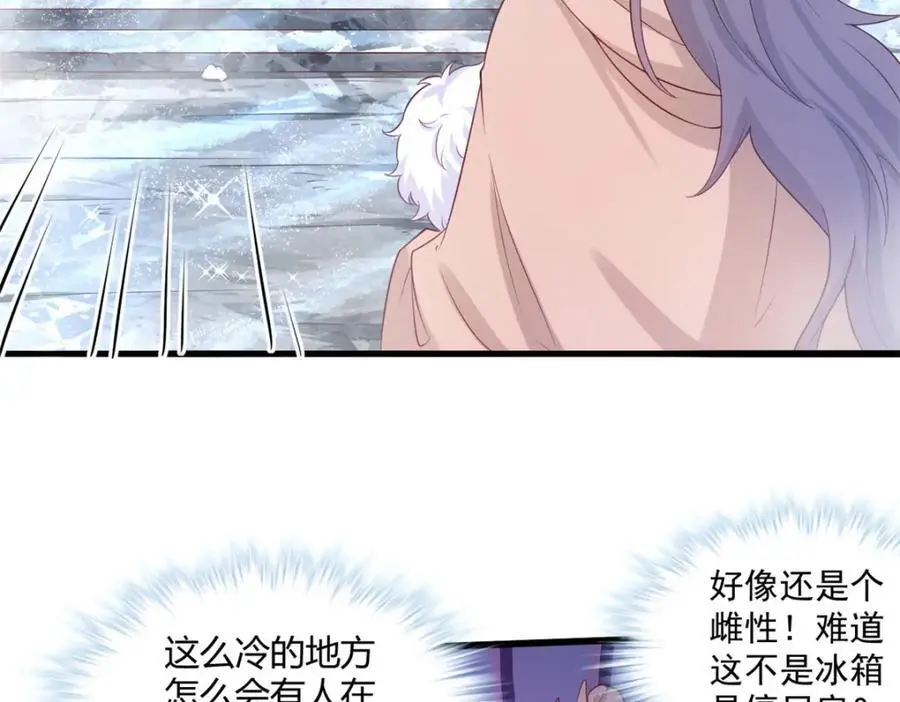 535 第39页