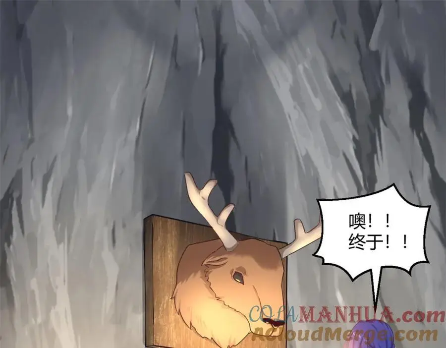 537 第55页