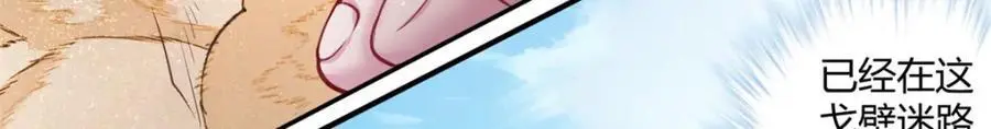 537 第75页