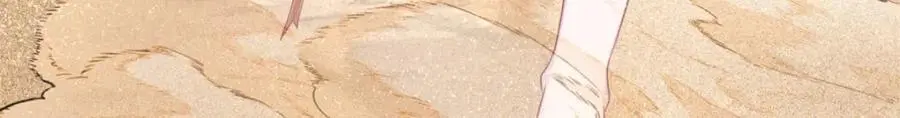 537 第78页