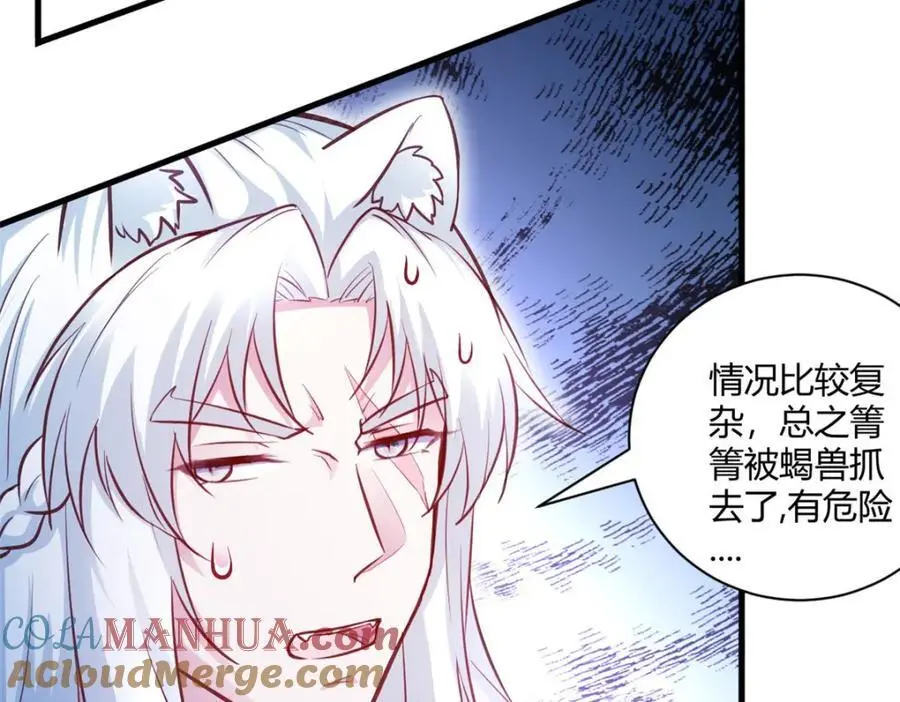 538 第13页