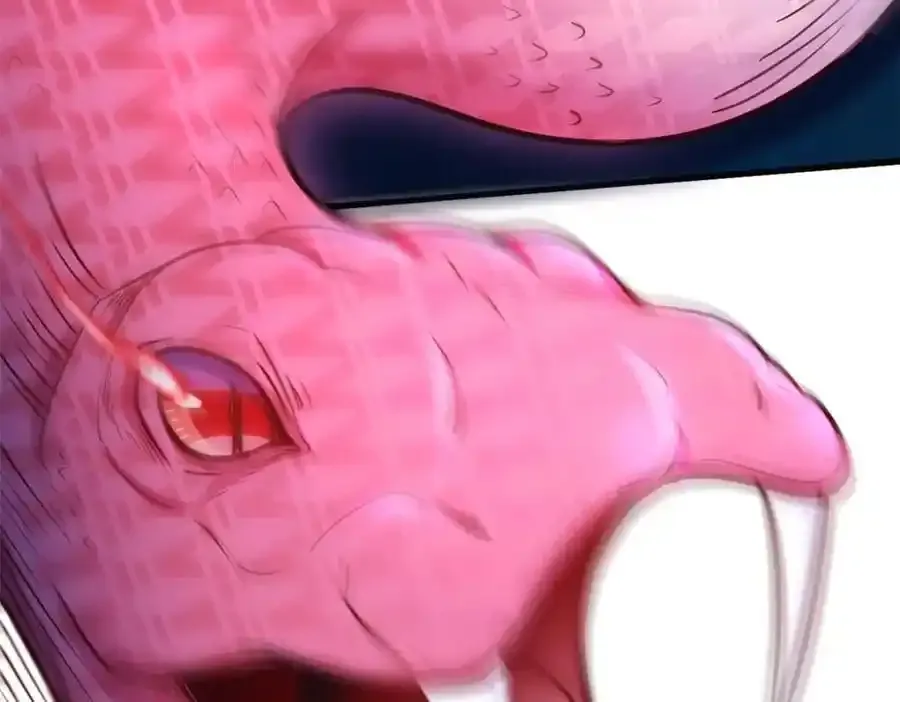 541 第54页