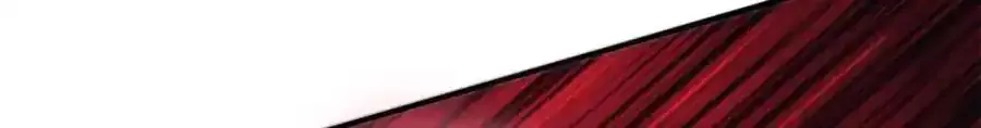 541 第56页
