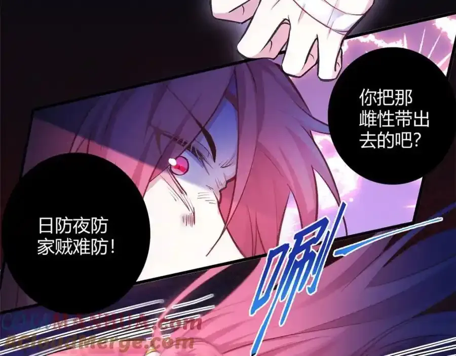 542 第34页