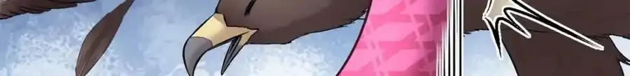 466 第24页