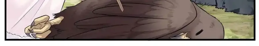 466 第55页