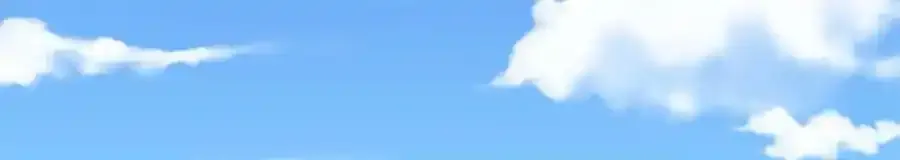466 第64页