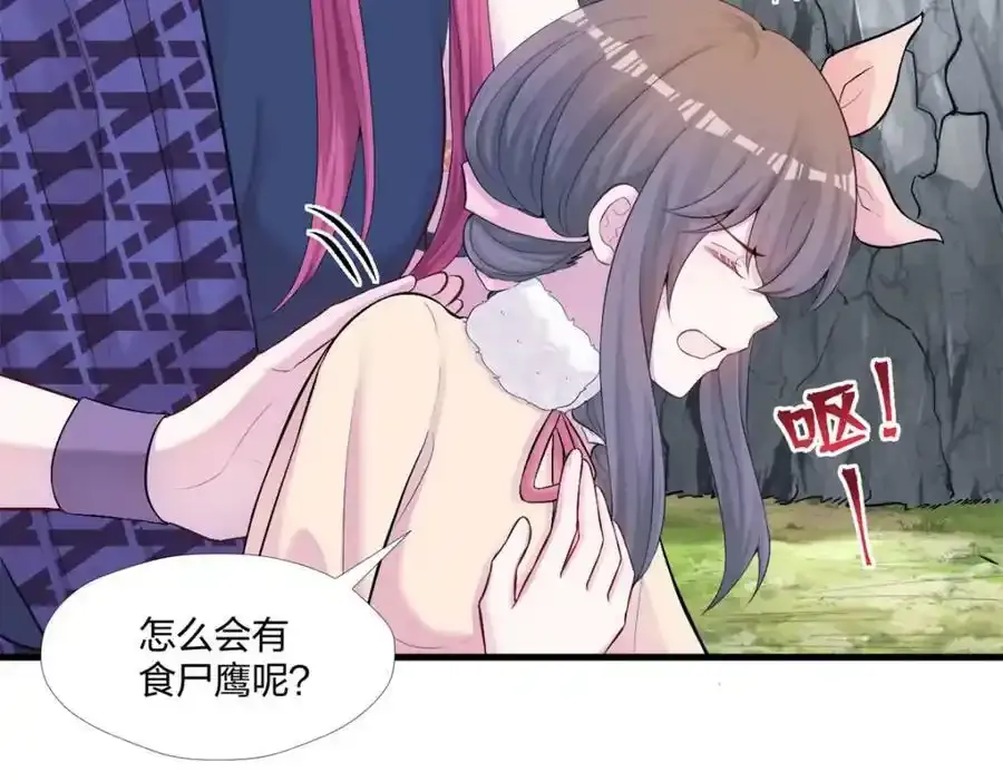 466 第66页