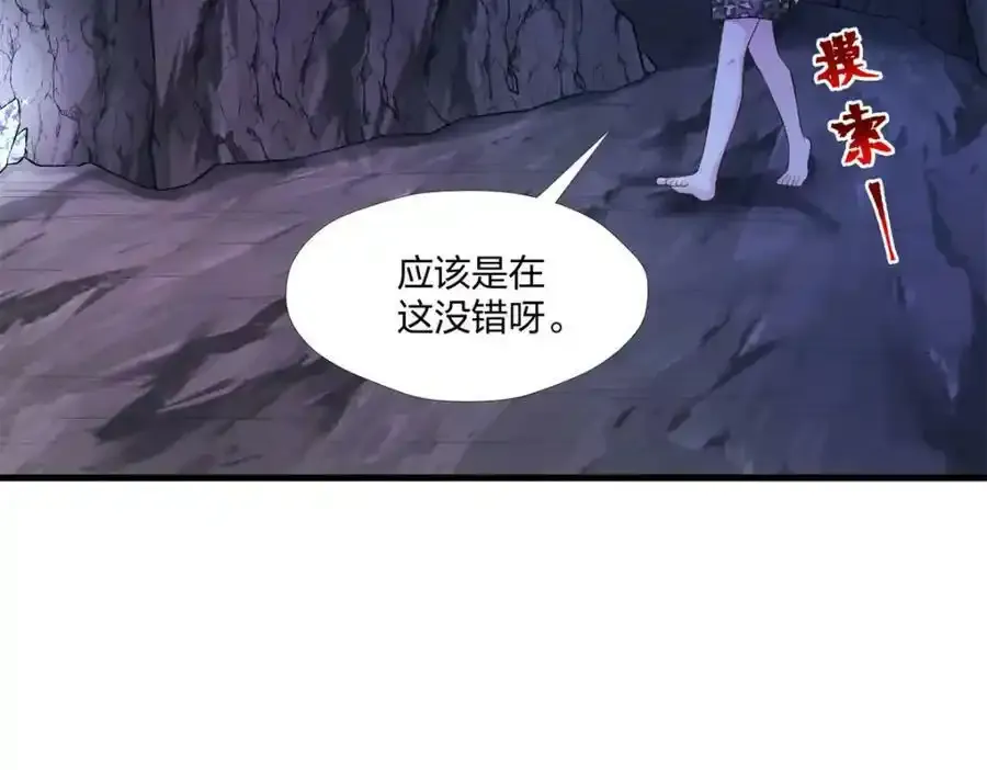 466 第71页