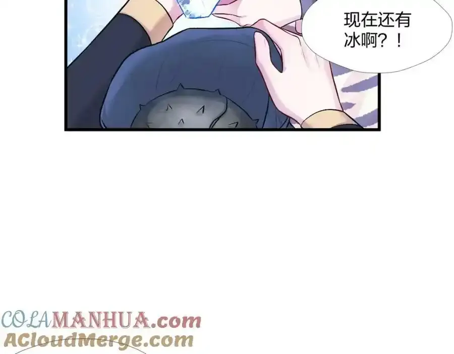 466 第113页