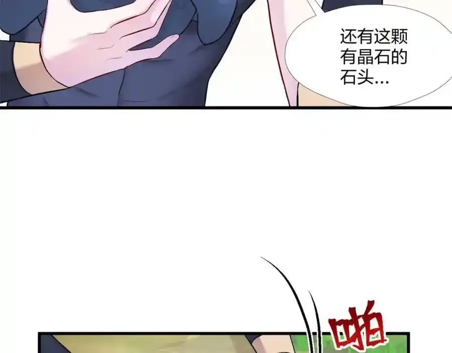 466 第116页