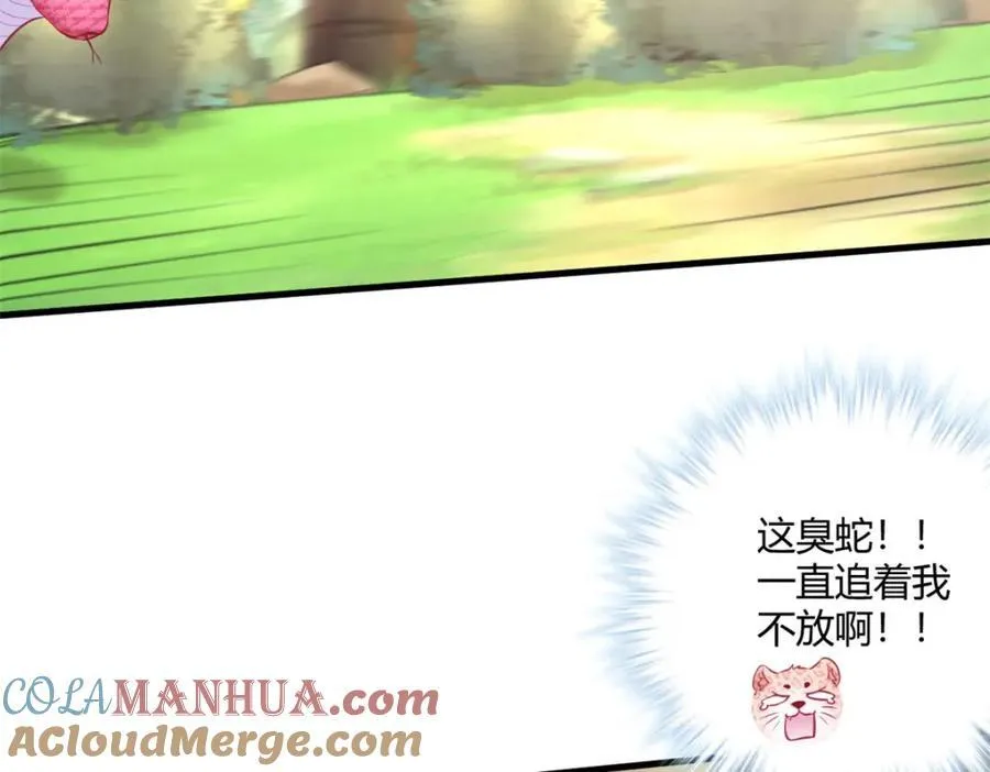 545 第4页
