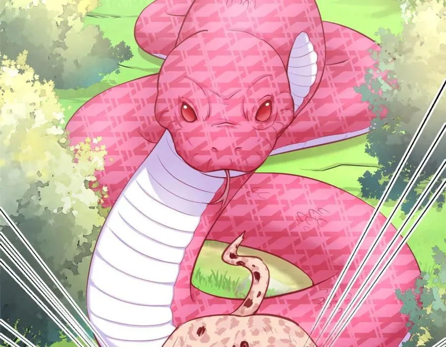 545 第14页